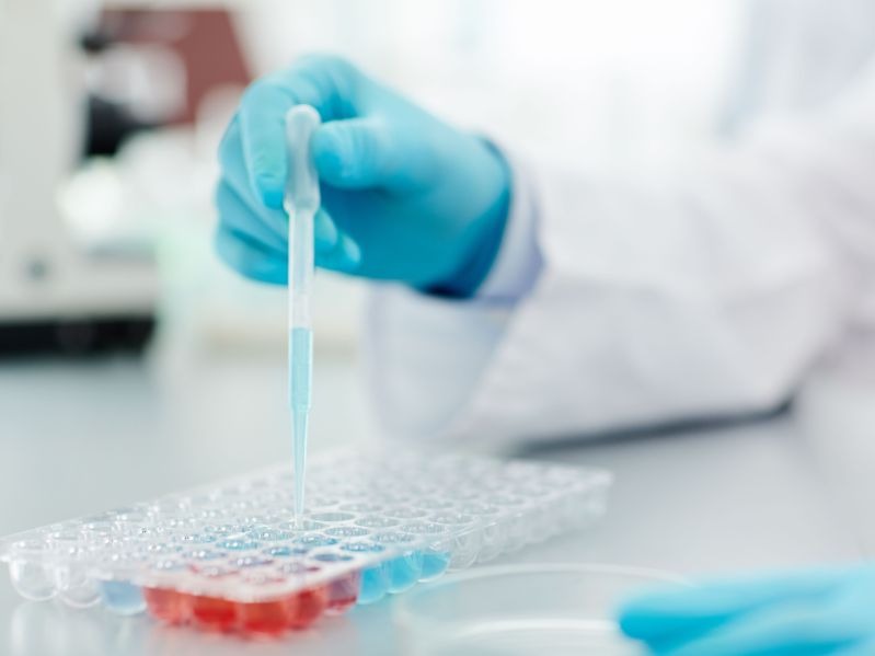 诺和诺德(NVO.US)发布2025年财报：司美格鲁肽销售额361亿美元，创新药管线可期!!!